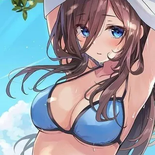 Miku Updates