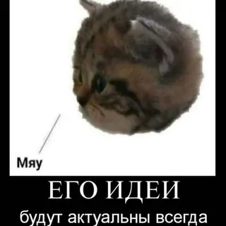 РЕСТ|Отсебятина калифорния😋