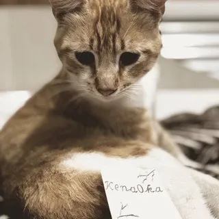 Kena0ka