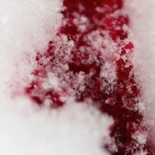 жакье