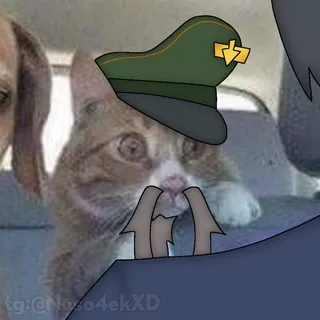 Носочке рисует