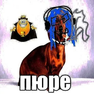 Яичный цех 🚼