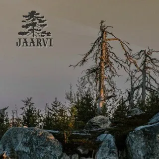 Jaarvi