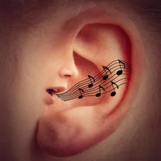 𝕋𝕚𝕟𝕟𝕚𝕥𝕦𝕤 𝕂𝕒𝕟𝕒𝕝 👂🎶