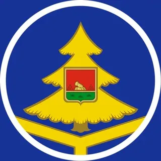 Говорит Брянск