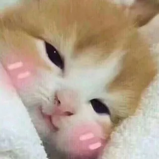 пойду посплю
