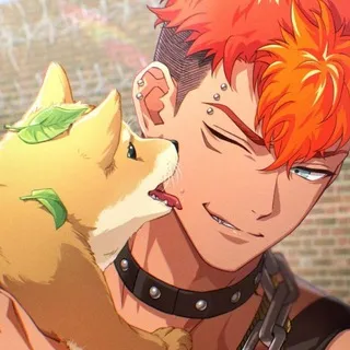DAILY RYOGA TOSA