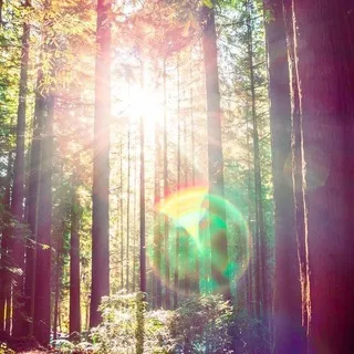 A sunbeam☀︎