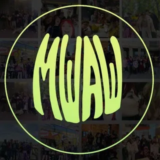 МШАШ