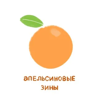 апельсиновые зины [d&p zine / su zine]