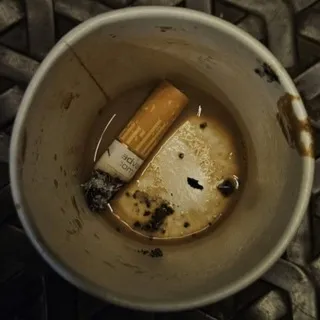 # 𝘤𝘩𝘢𝘯𝘯𝘦𝘭 𝘩𝘥