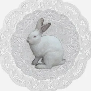 винсент вон энгель