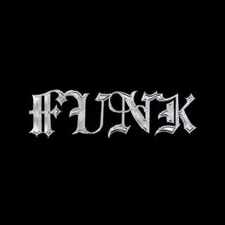 FUNK 343