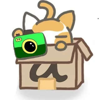 Cardboard Box [full of photos]
