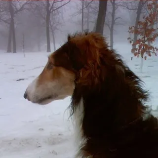 redстоун jj