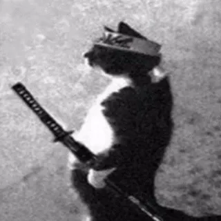 SAMURAI CAT