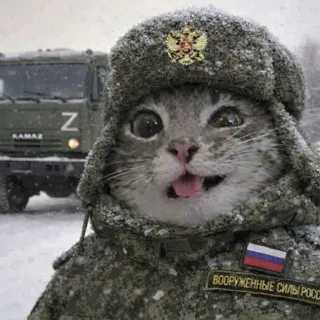 СВО кф | Специальная Военная Операция confession 🇷🇺