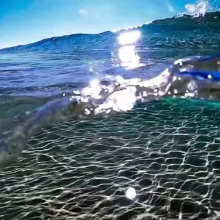 SEA LISTEN