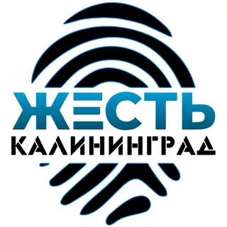Жесть Калининград