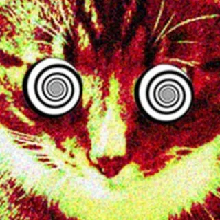 SUPERSONIC CHAT