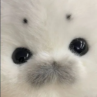 vvilar