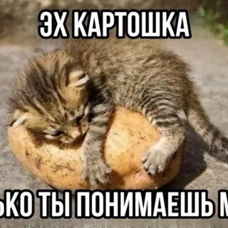 палочка твикс чоотт