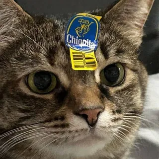Брат Отдых Добро :333