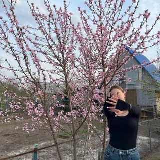 щтпст ААА