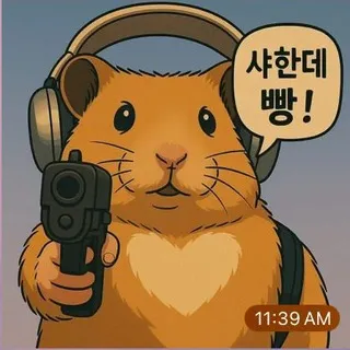 돈포하 채팅방