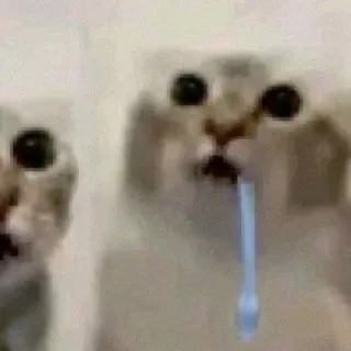 ɸ૦ʌьɾɑ | кисель из кринжа