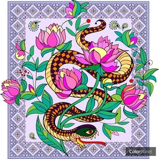 🐉Draco Leo♐️