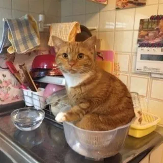 Не