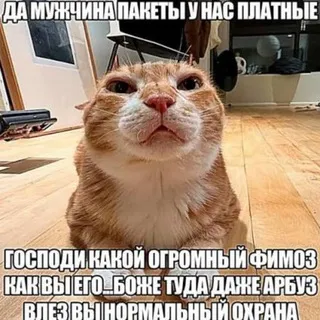 Ультранаsillyе