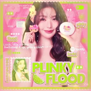 26 . 𝐏linky 𝐅lood ( PLNK .. )