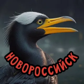 "БАКЛАН" г. Новороссийск