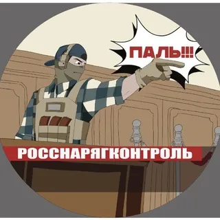 РосСнарягКонтроль (тот самый DOOMER_SQUAD)