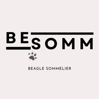 BeSomm | Вино и бигль