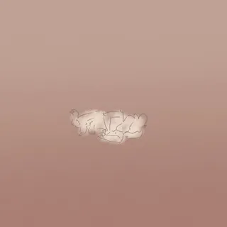 Хорни Весек