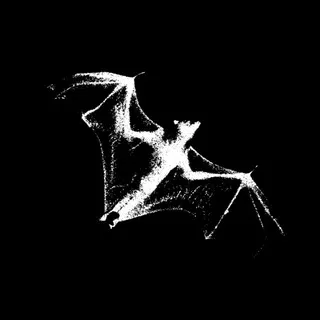Vampirex