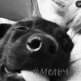 #мелочь