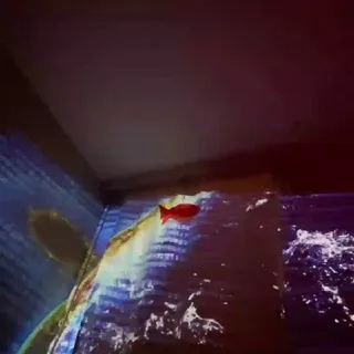 PnevmatiQ trips&music