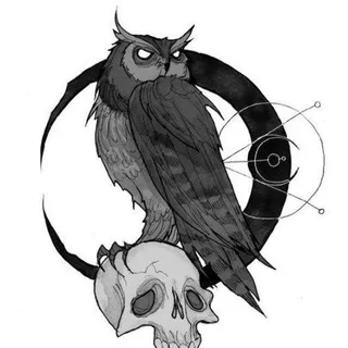 💜 ~Emily Gray 16+ ~🦉