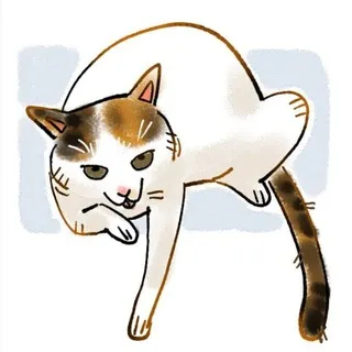 Книга жалоб и предложений