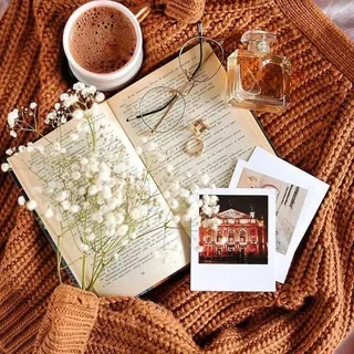 🍁𝐌𝐀𝐆𝐈𝐂 𝐋𝐄𝐓𝐓𝐄𝐑𝐒🍁