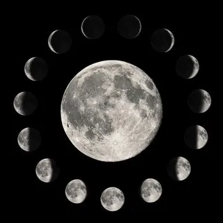 🌔 ◈ 𝐒𝗁𝖺𝖽𝗈𝗐 𝐂𝗈𝖽𝖾 ◈ 🌖