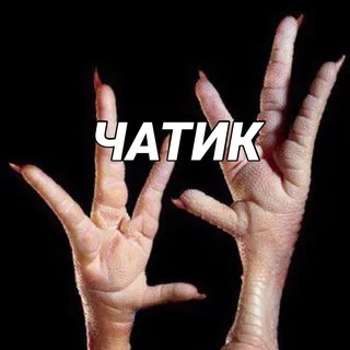 Чатик Лапки