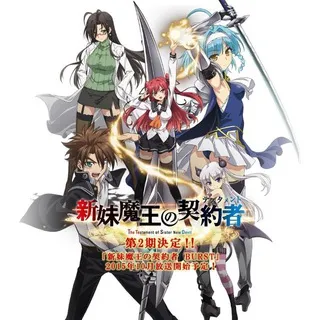 The testament of sister new devil