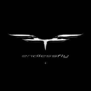 endlessfly