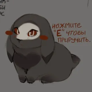 щп 𝓯𝓻𝓮𝓪𝓴𝔂 Хэллира💔