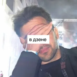 в дзене